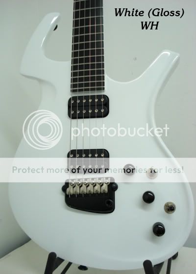 solidWhite1t.jpg