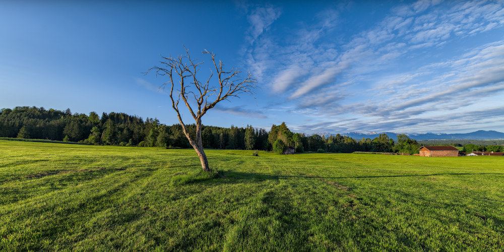 p1012109_1000x500pxlyj1b.jpg