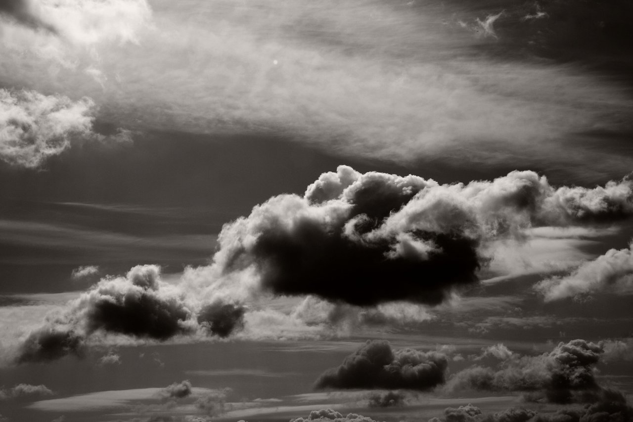 elephant_in_the_sky_by_roswell1947-d3ggtwp.jpg