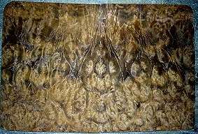 imbuia%20burl%20veneer%20bm%2023%20web.jpg