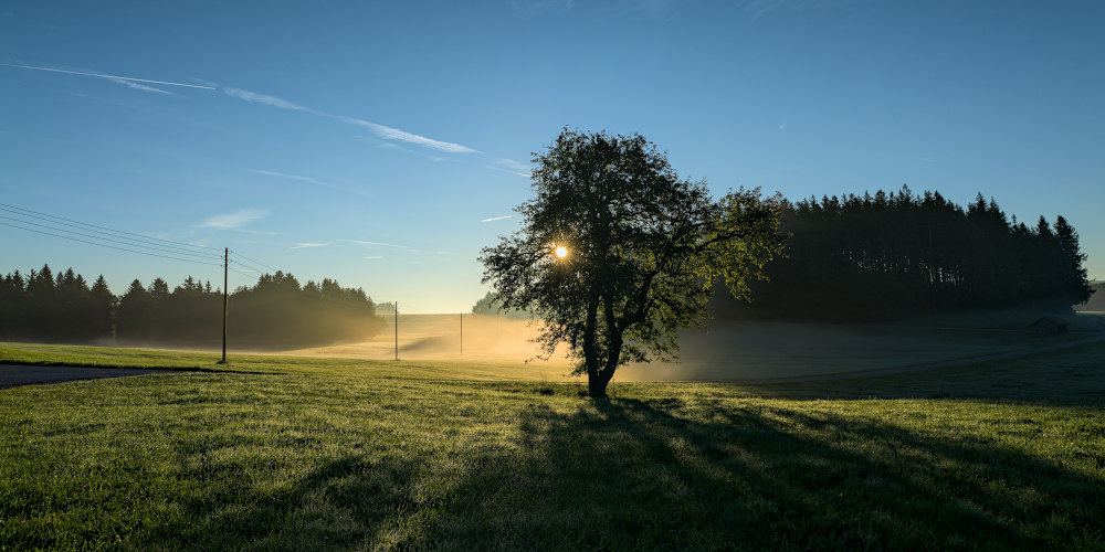 p1012583c_1000x500pxqaj6v.jpg