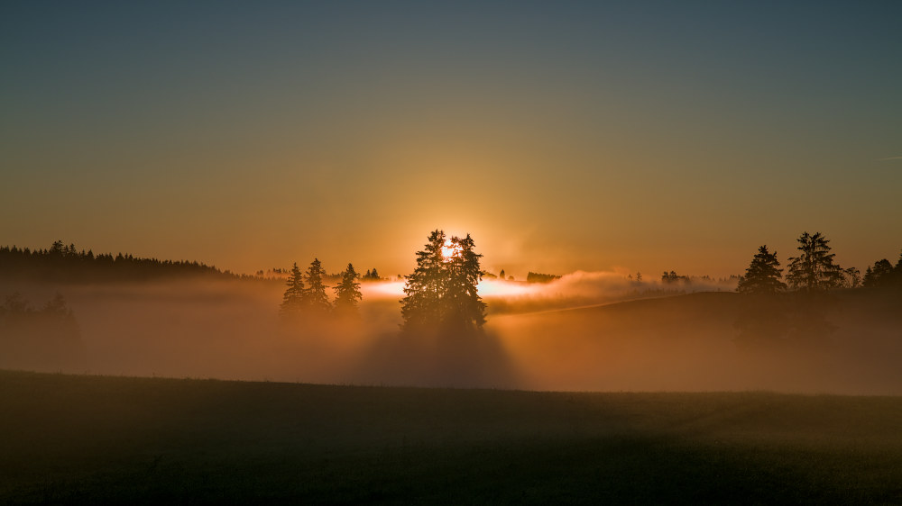 p1011900_1000x562px47jg2.jpg