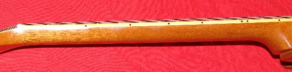 Aurea06.jpg