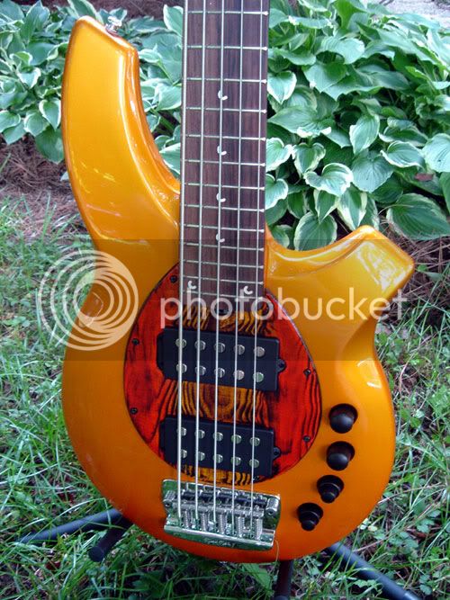 01-Bongo.jpg