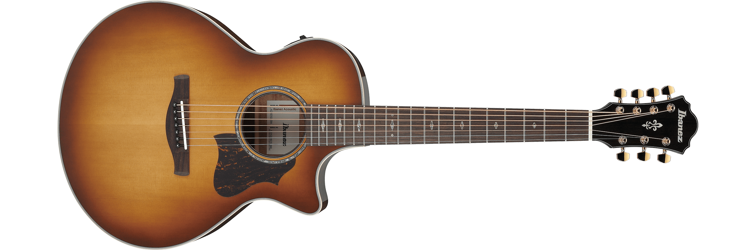 www.ibanez.com
