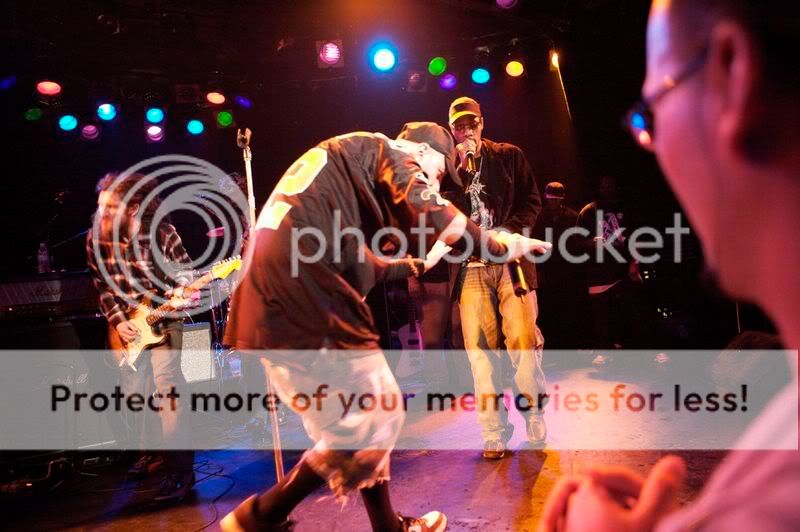 roxy2008c.jpg
