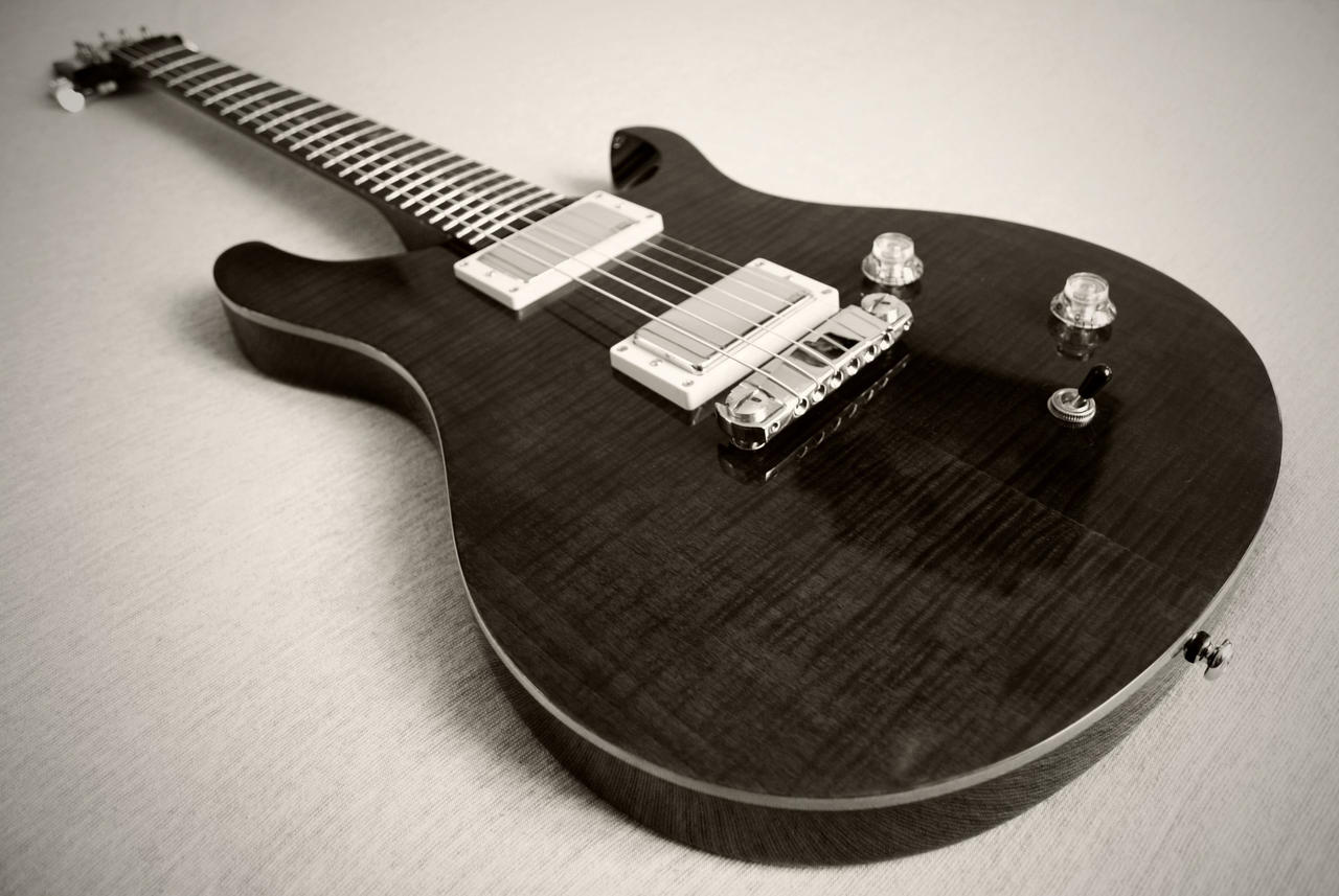 the_prs_se_custom_22_by_roswell1947-d3fv2u0.jpg