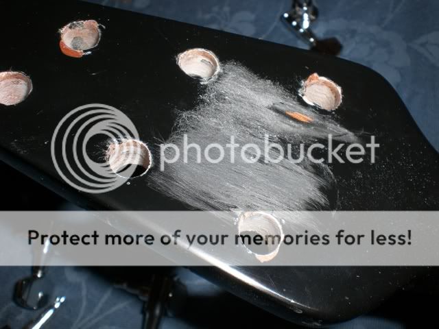 CIMG3575.jpg