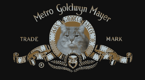 mgm-cat-gif-durentis-tumblr_large.gif