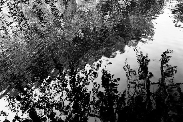 6250420782_e9a660121c_z.jpg
