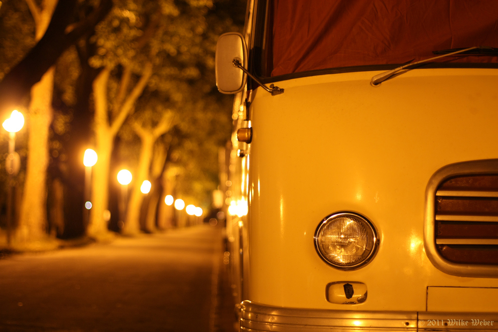 Bus-a24867653.jpg