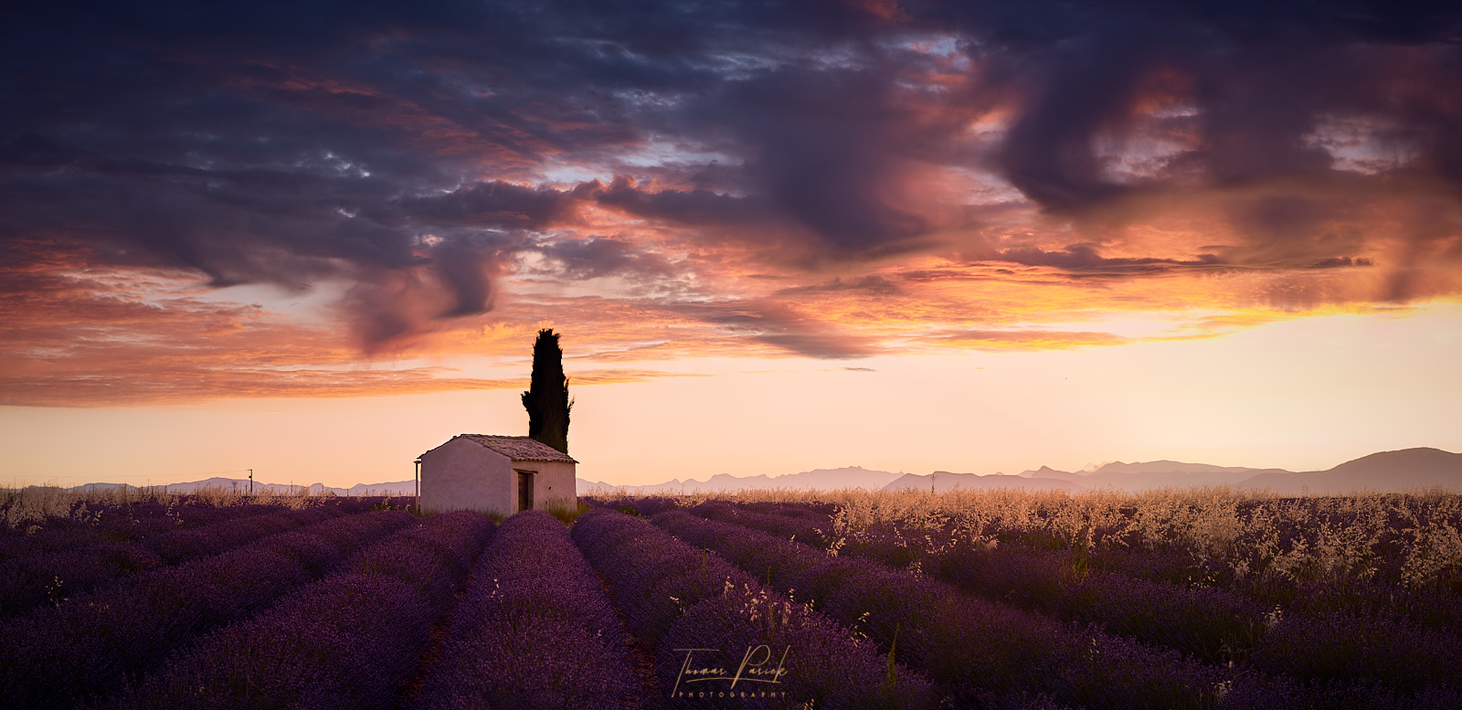 Valensole-Sunrise.jpg