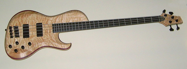 Fretted_4_String_001.sized.jpg
