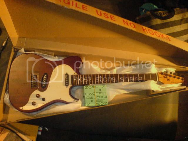 DSC01187.jpg