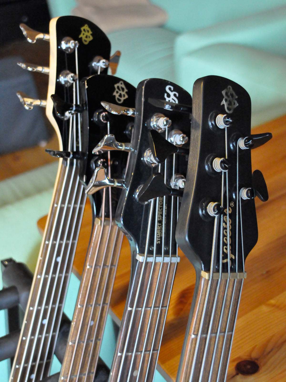 4spectorheadstocks.jpg