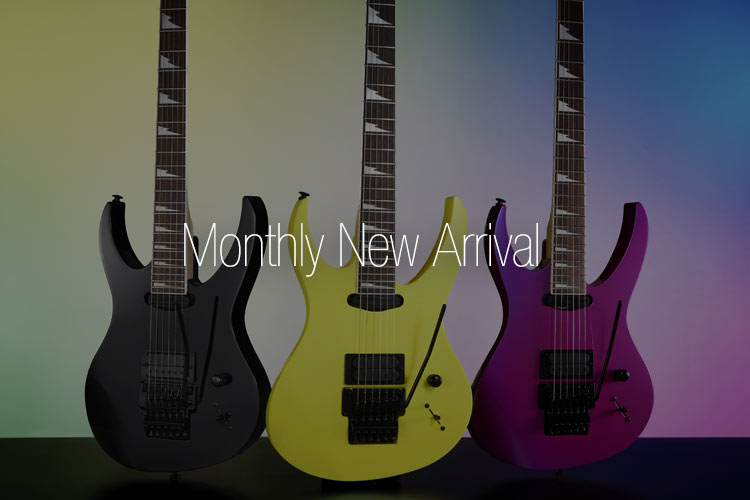 www.ibanez.com