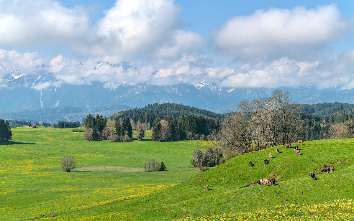 p1024449_1200x750pxhgeyl.jpg