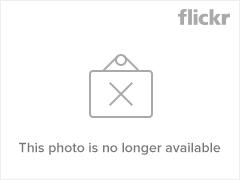 44981587_fef0594b87_m.jpg