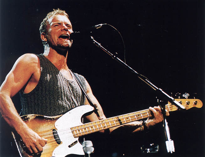sting-2.jpg