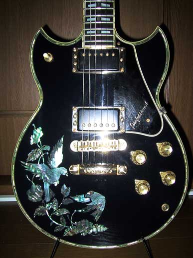 sg25s2.jpg