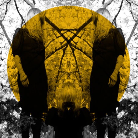 austra_1.jpg