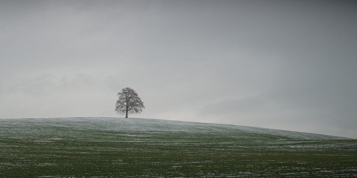 p1000636b_1200x600pxeskc9.jpg