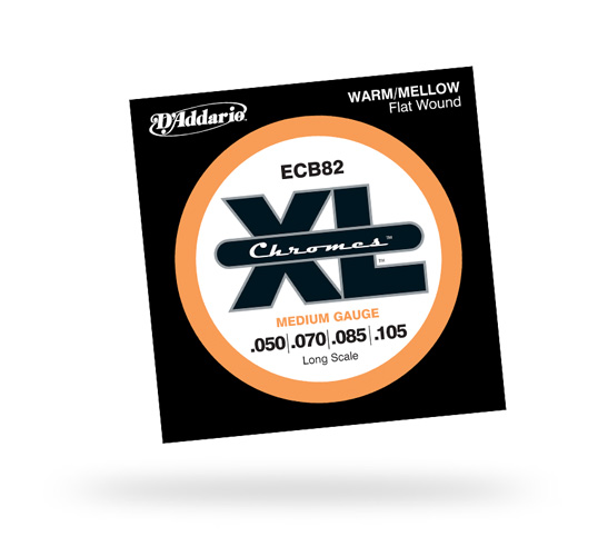 DADDARIO-ECB82.jpg