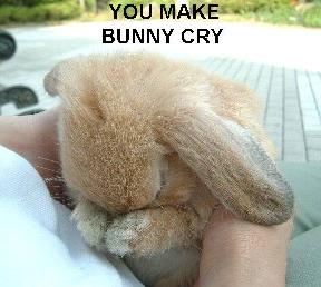 70843827.RHq5xVSf.bunnycry.jpg