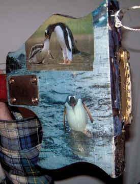 bfoot-penguin3.jpg