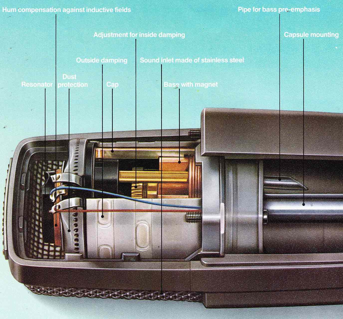 Senn421_internal.jpg