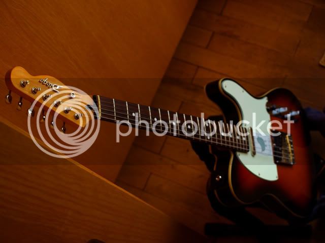 P5030239_2small.jpg