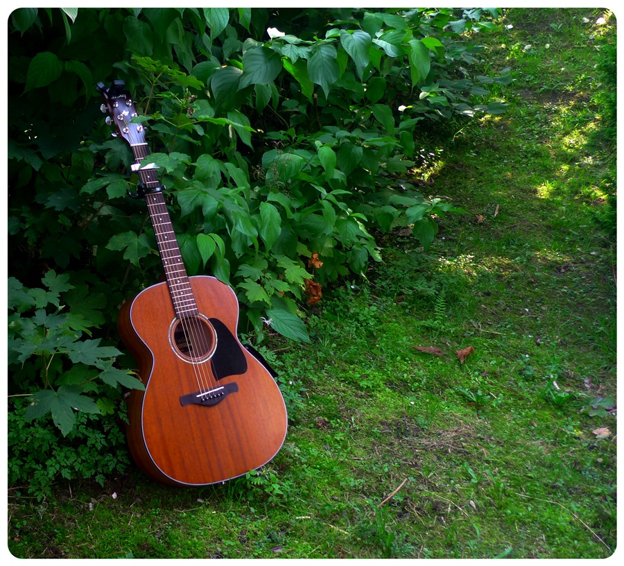 ibanez1hqbp.jpg