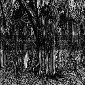 SunnO-BlackOne.jpg