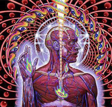 tool-lateralus1.jpg