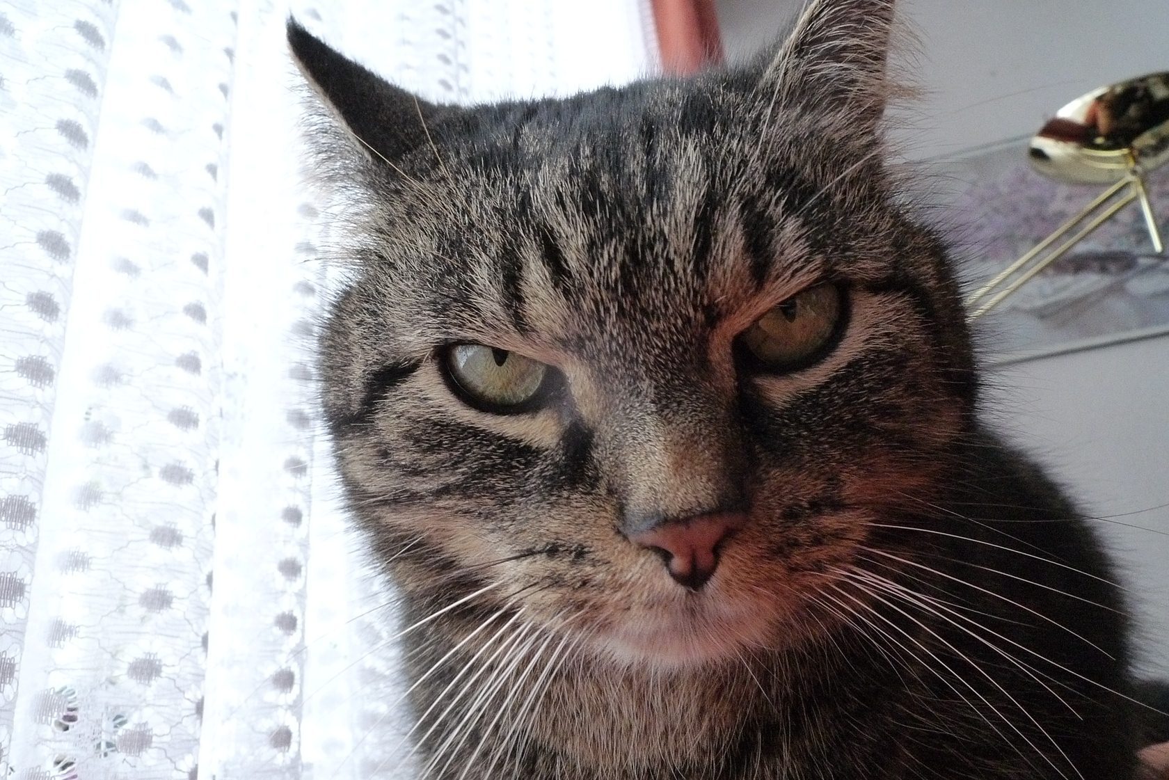 p1010642kosji.jpg