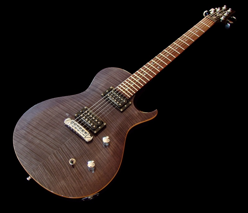 PRS-SE-TB6-BK2.jpg