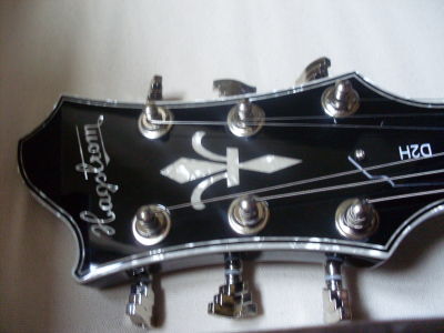 g_sdc11880.jpg