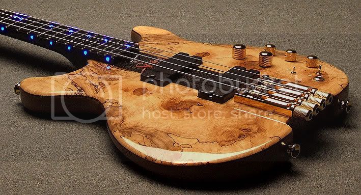 spalted_burl_kingbass.jpg