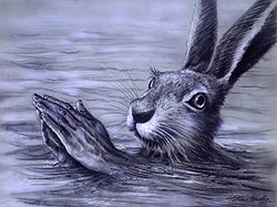 hase.jpg