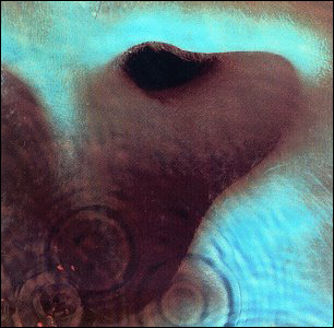 pink-floyd-meddledowg.png