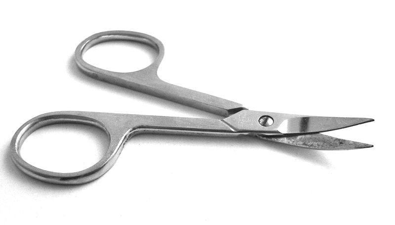 800px-Nagelschere.jpg