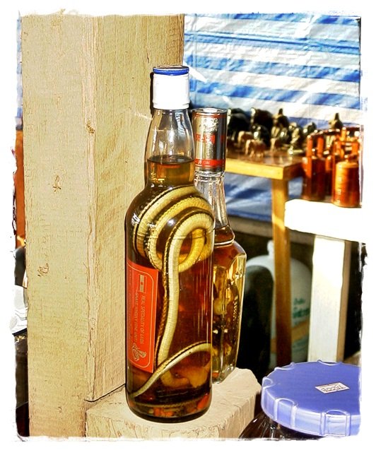 thai-snake-in-a-whisky-bottle.jpg