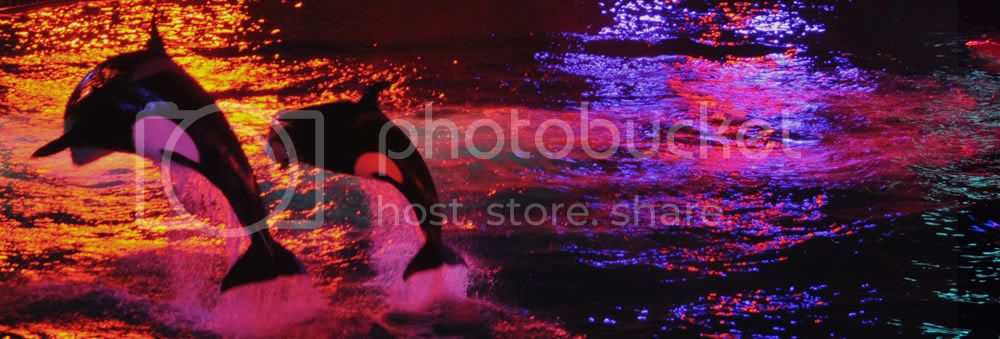SeaWorld.jpg