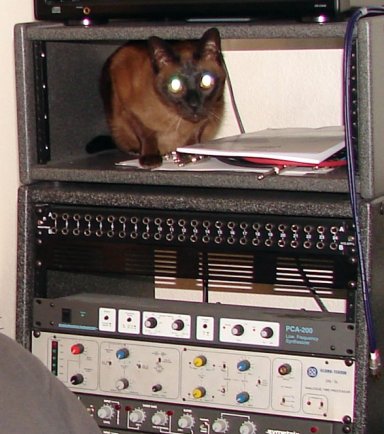RudyTheRackCat-384.jpg