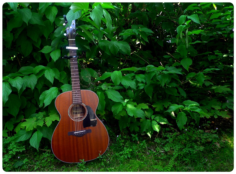 ibanez2sr3n.jpg