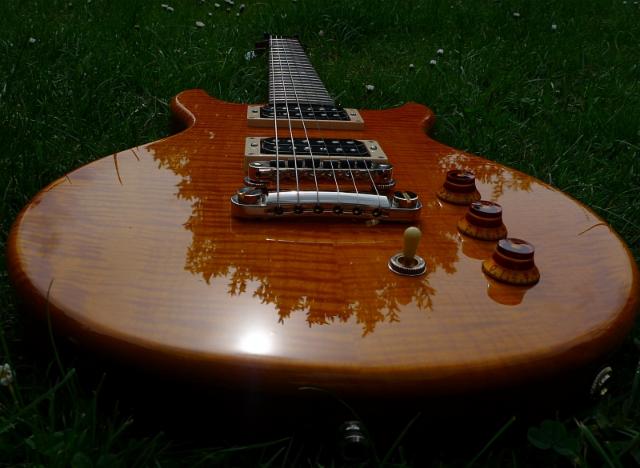 _wsb_640x468_Hamer_special_fm_body_to_neck.jpg