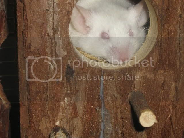 IMG_2224.jpg