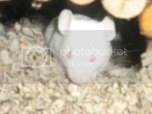 IMG_1599.jpg