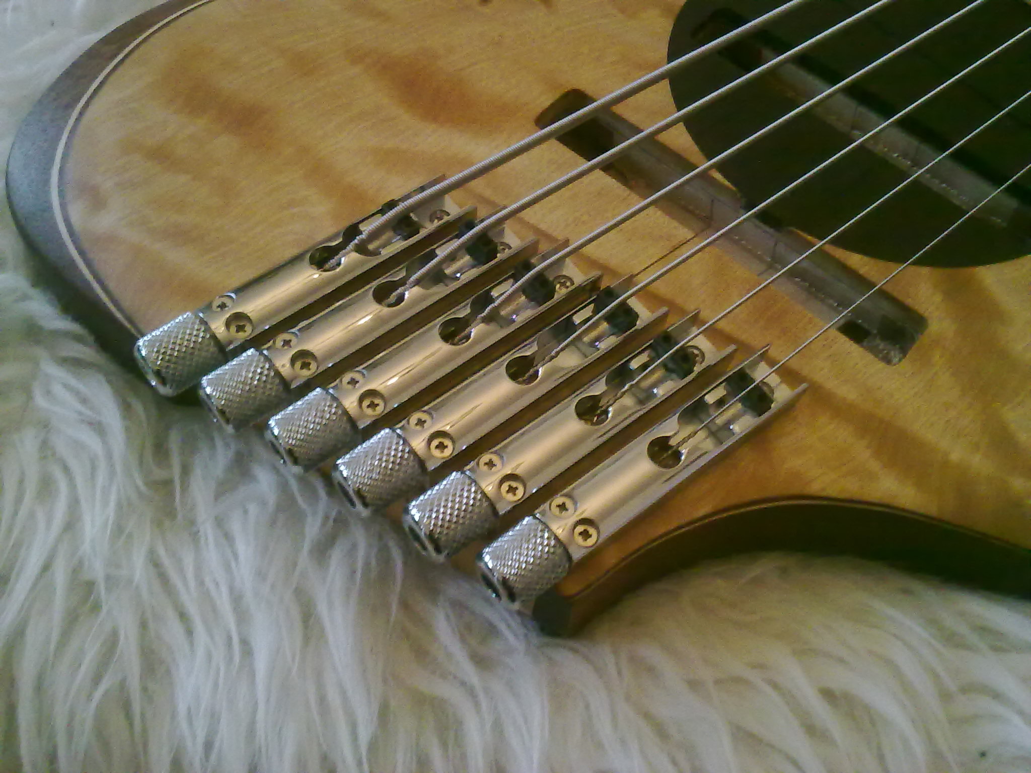 bass02c5ufw.jpg
