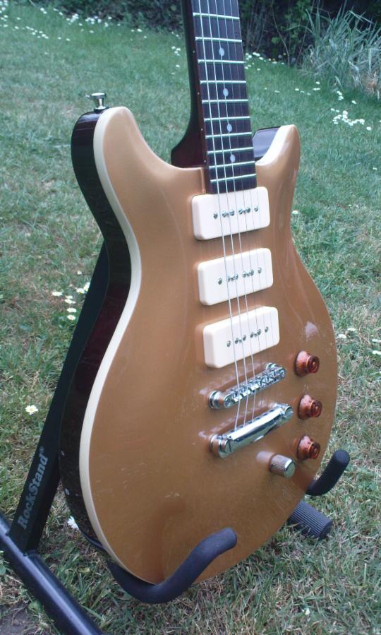 _wsb_540x899_goldtop5.jpg